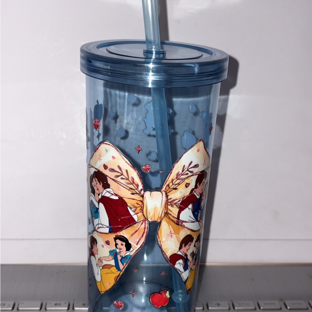 Disney Blue Tumbler with Princess Design